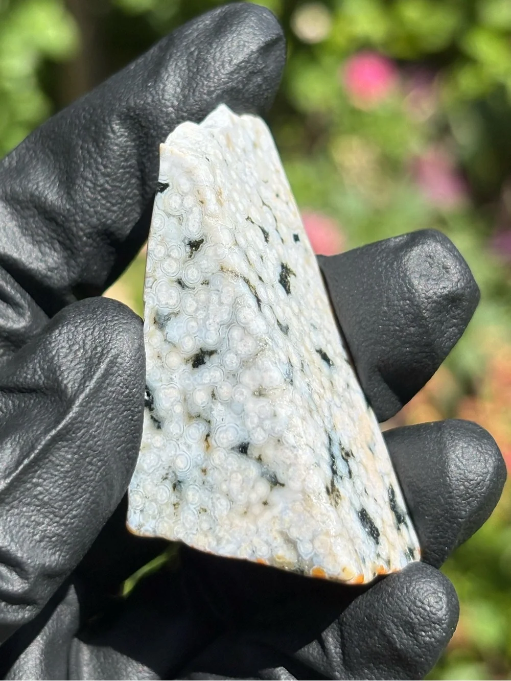 Discounted* Chipped Ocean Jasper Crystal Freeform - Polished Sea Jasper - OBJ